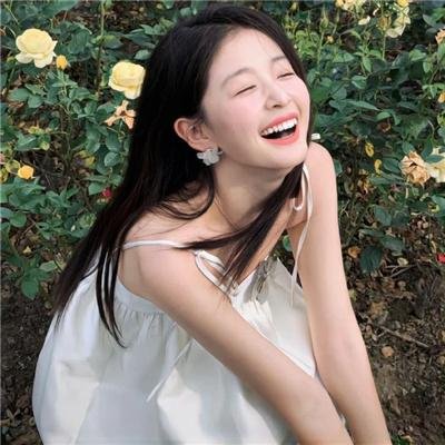 我私人的爱达荷