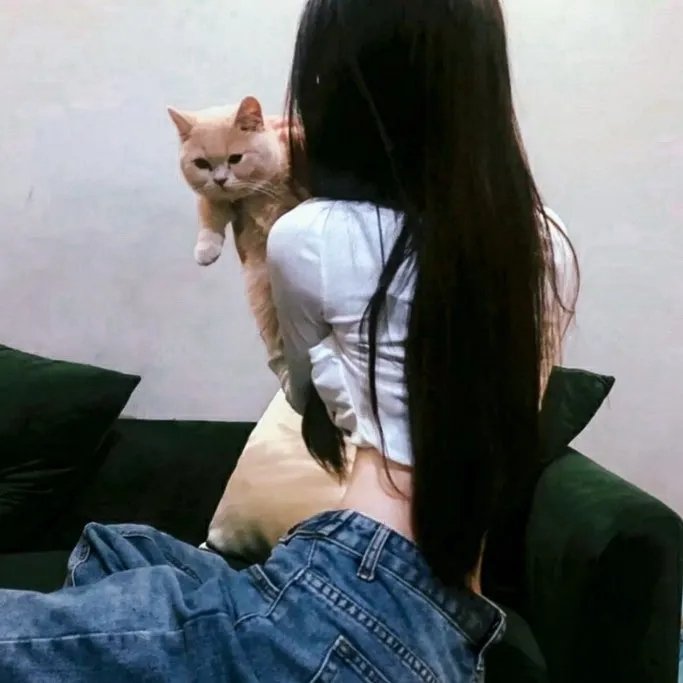艾维奇的真实故事